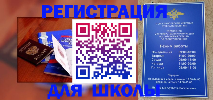 прописка для работы в Борзе