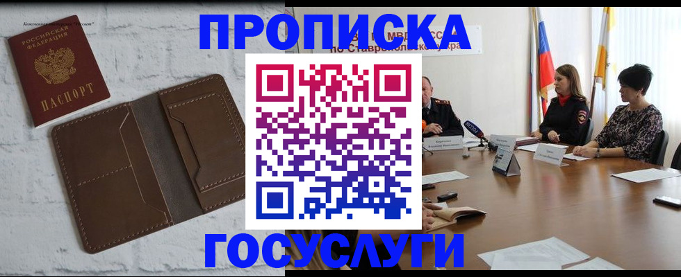 прописка законно в Борзе